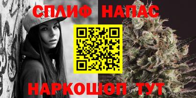 дживик Кунгур