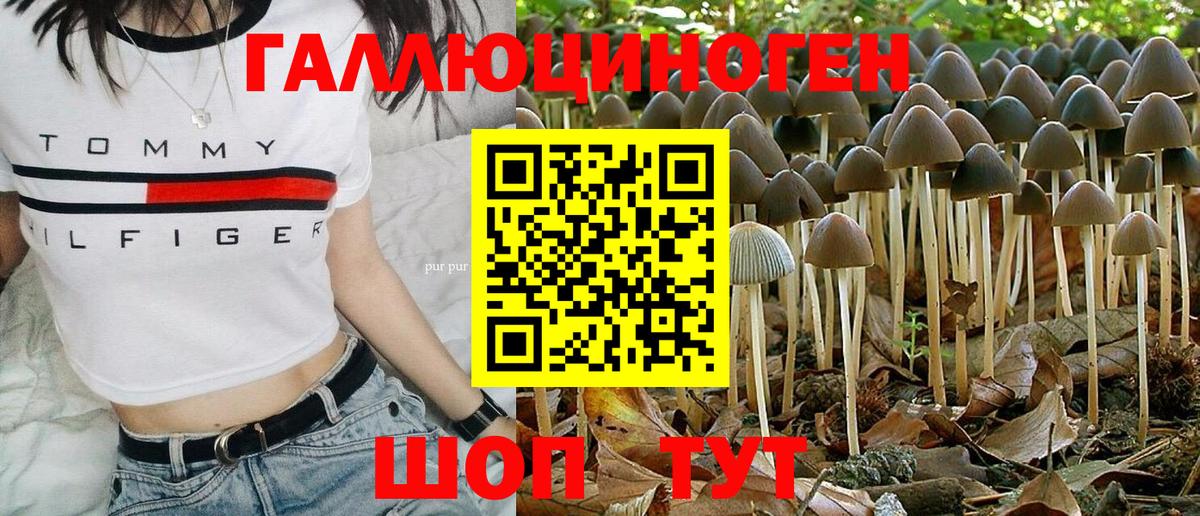 Галлюциногенные грибы MAGIC MUSHROOMS Ижевск