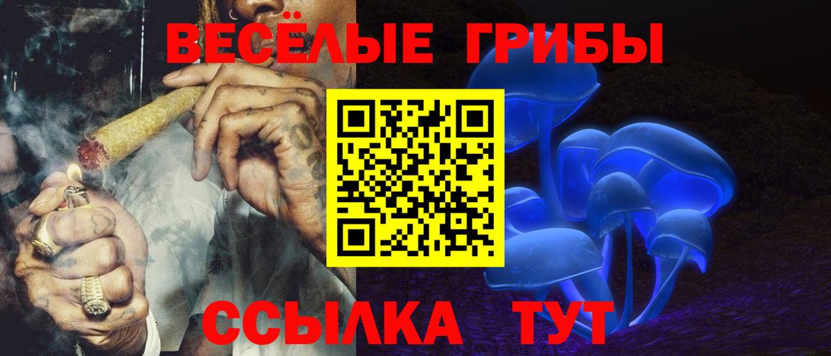 Ижевск  Псилоцибиновые грибы прущие грибы  Вход с VPN 